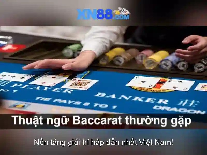 xn88-app – chủ đề tổng quan và giá trị cốt lõi