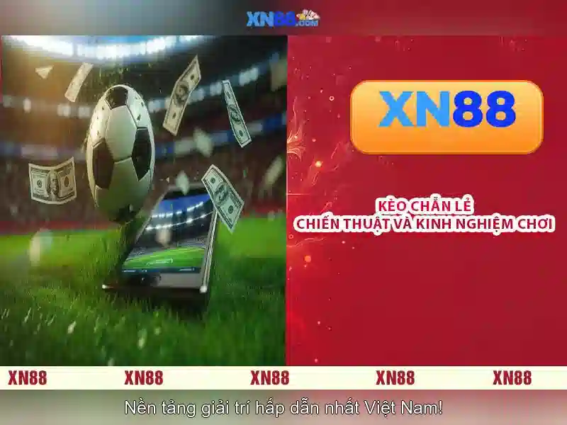 https://nx88.uk.com/images/text/xn88/xn88-text2603312161.webp Hướng dẫn tham gia và lưu ý an toàn