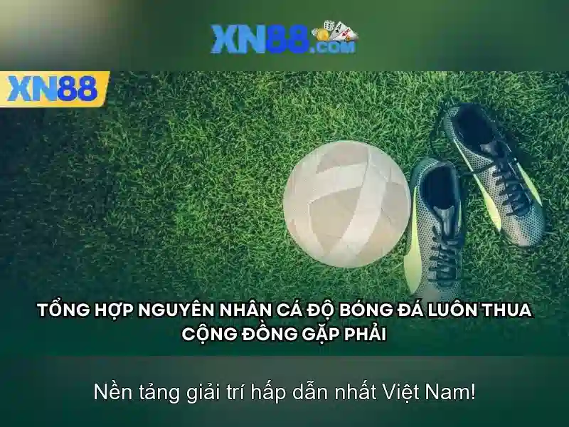 Làm thế nào xn88 hoạt động?