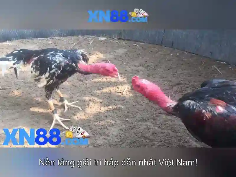https://nx88.uk.com/images/text/xn88/xn88-text2603314656.webp Thông tin tổng quan về xn88