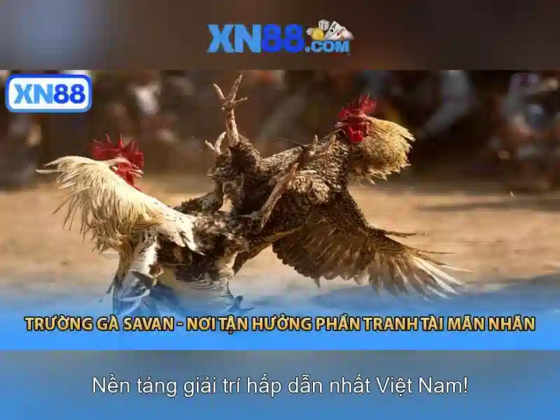 Đa dạng trò chơi và trải nghiệm người dùng