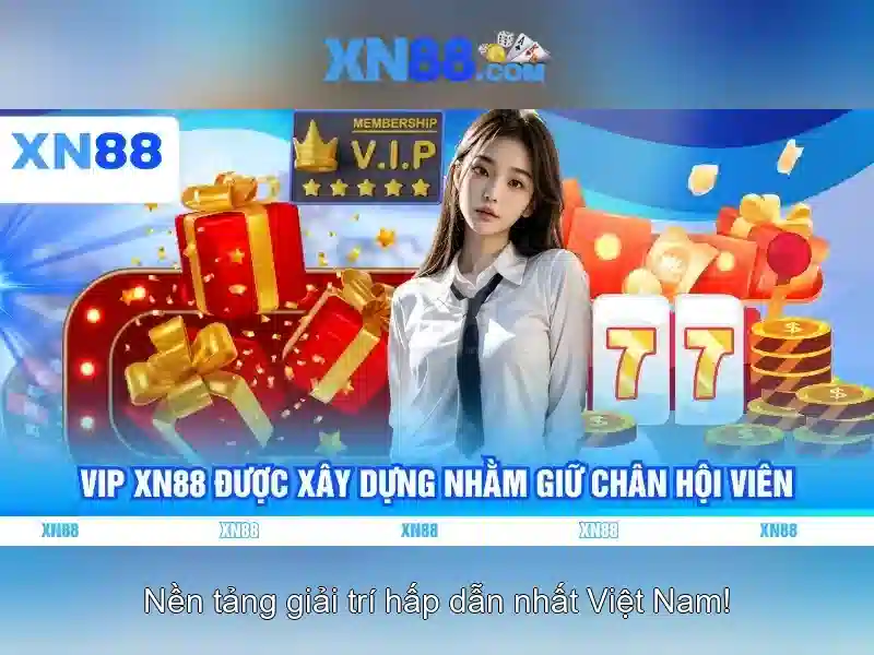 Kết luận và khuyến nghị