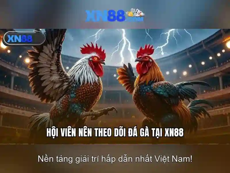 xn88: Tổng quan và ảnh hưởng Giao diện nhà cái hoàn hảo