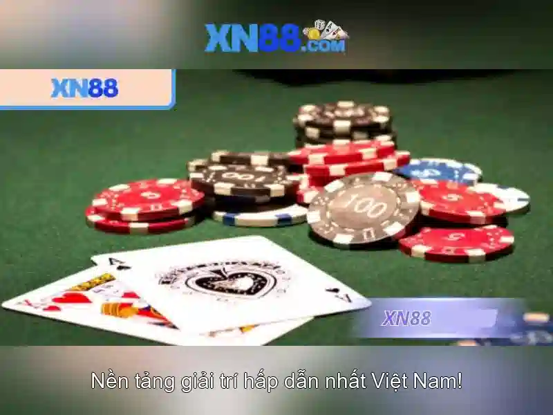 Tổng quan về xn88