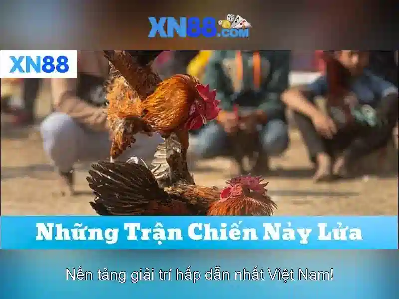 Giao diện nhà cái hoàn hảo