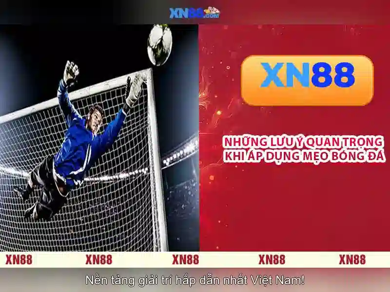 Thanh toán an toàn và hỗ trợ khách hàng