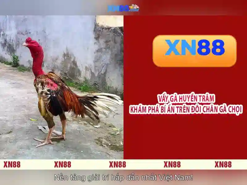 Giao diện nhà cái hoàn hảo