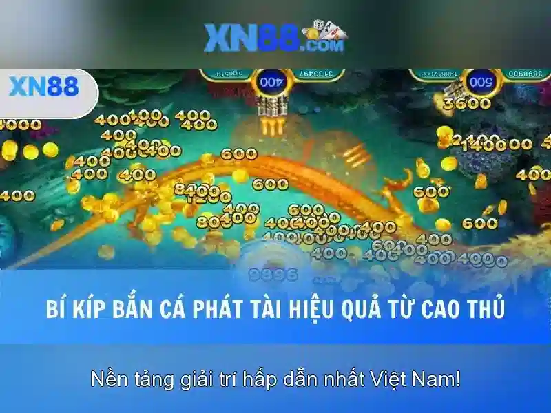 Khuyến mãi và chương trình thưởng